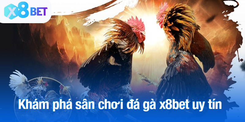 Khám phá sân chơi đá gà x8bet uy tín, chuyên nghiệp