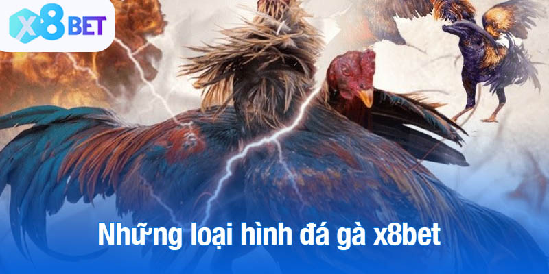 Những loại hình đá gà x8bet được yêu thích nhất hiện nay