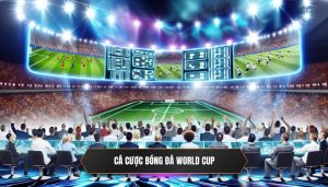 Cá cược bóng đá World Cup