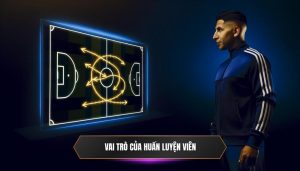 Vai trò của huấn luyện viên